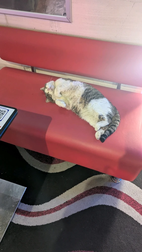 Зображення завантажив Kaonashi