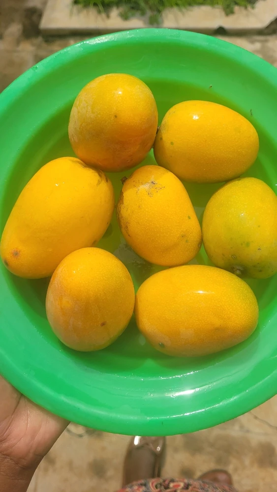 GIF uploaded by Ngetso