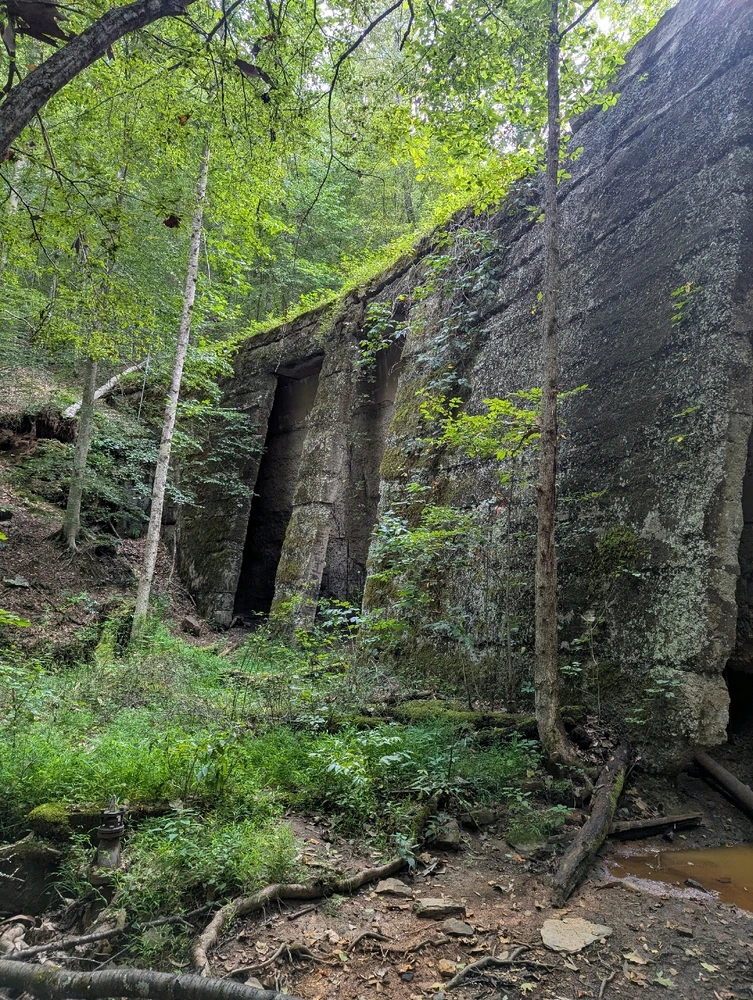 Image uploaded by Pavel