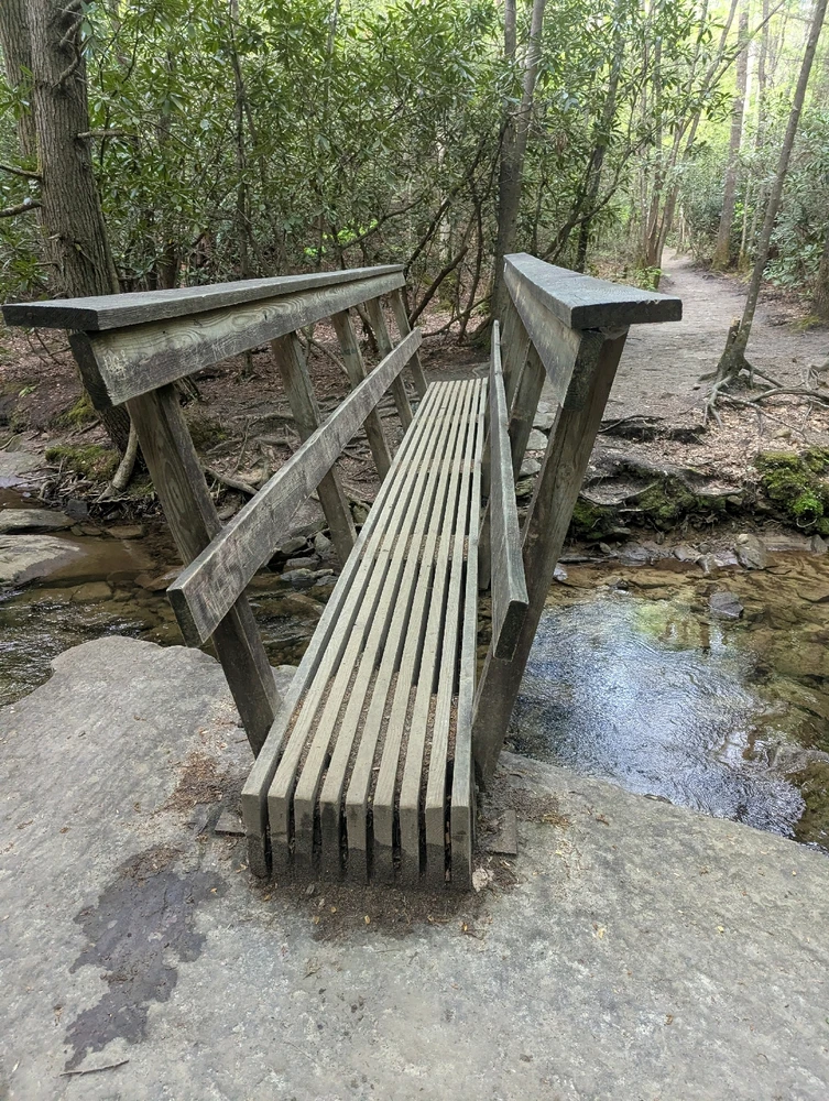 Image uploaded by Pavel