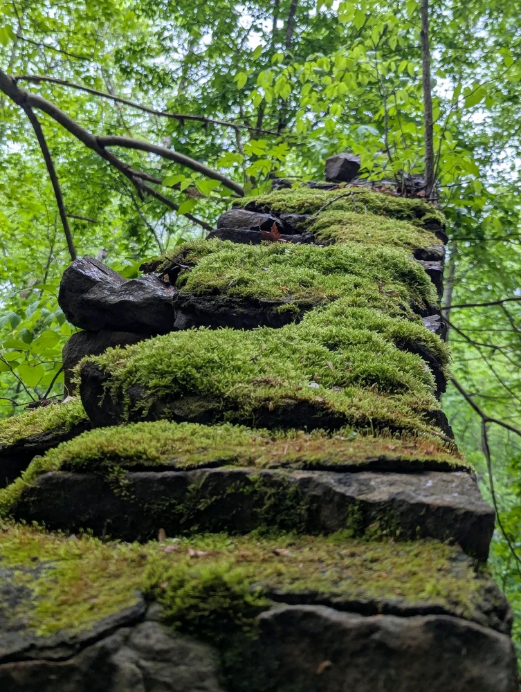 Image uploaded by Pavel