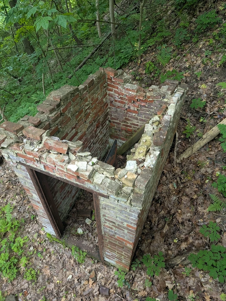 Image uploaded by Pavel