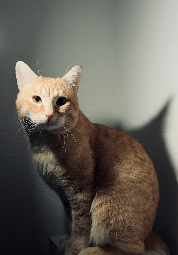 GIF ajouté par Florian