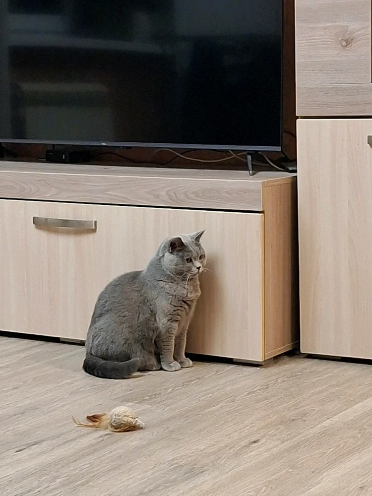 GIF uploaded by Aleksandr