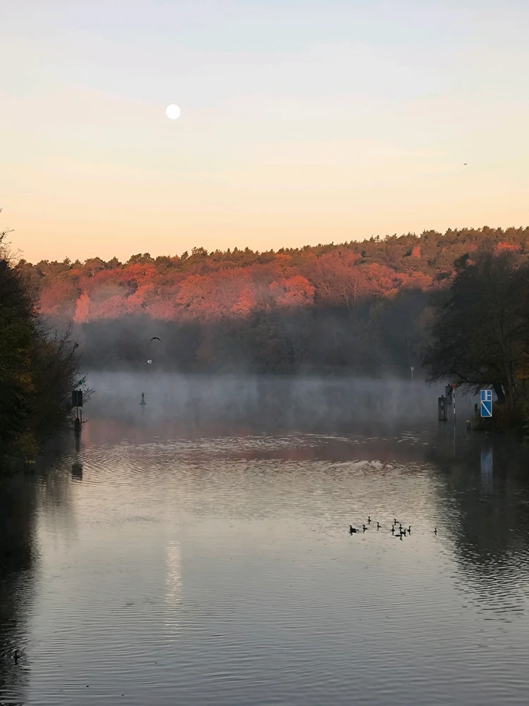 GIF hochgeladen von Marco