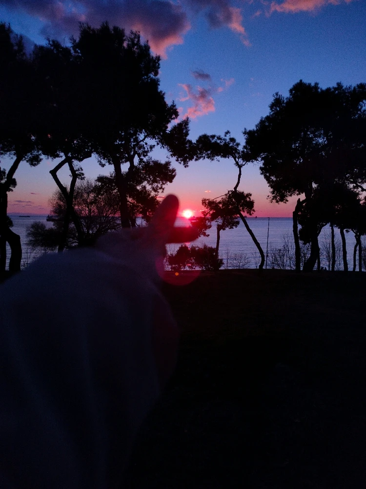 Image uploaded by Yellow