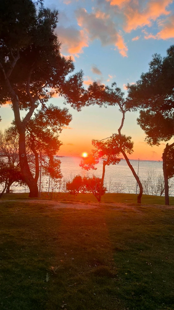 Image uploaded by Yellow