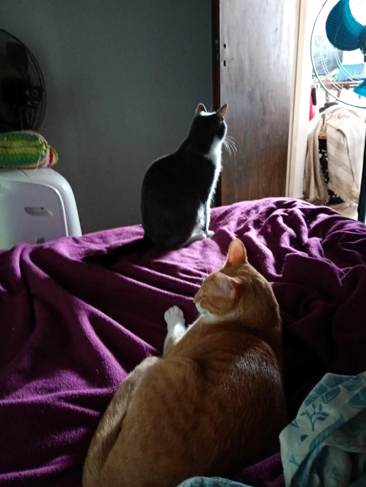 GIF subido por Andres