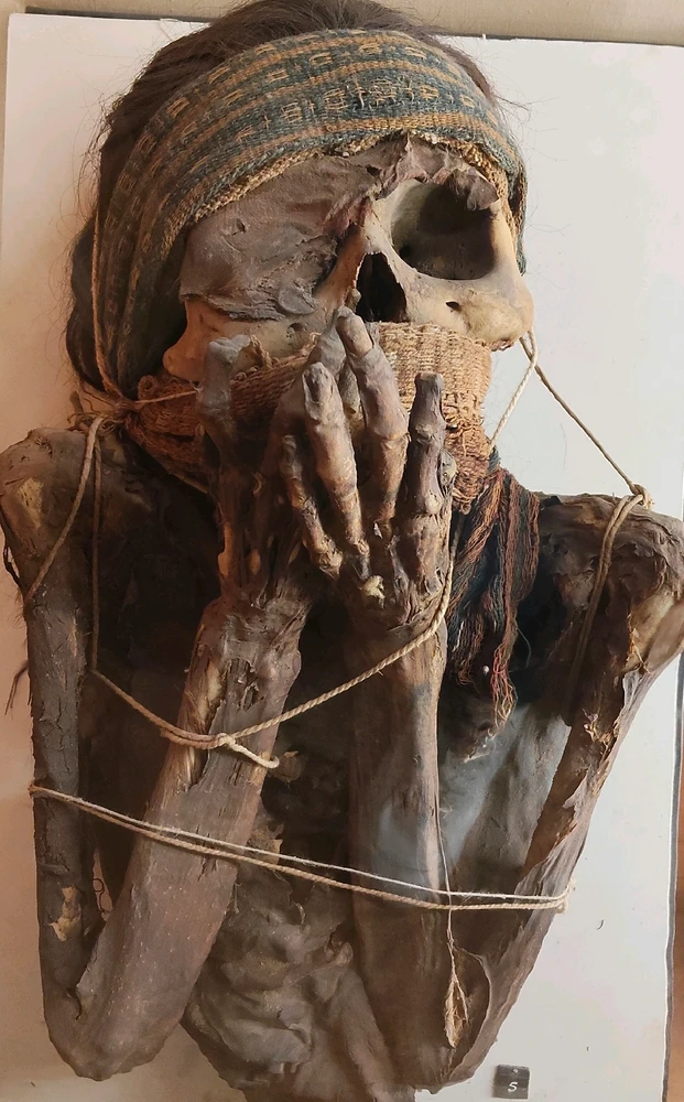 GIF caricata da Amio