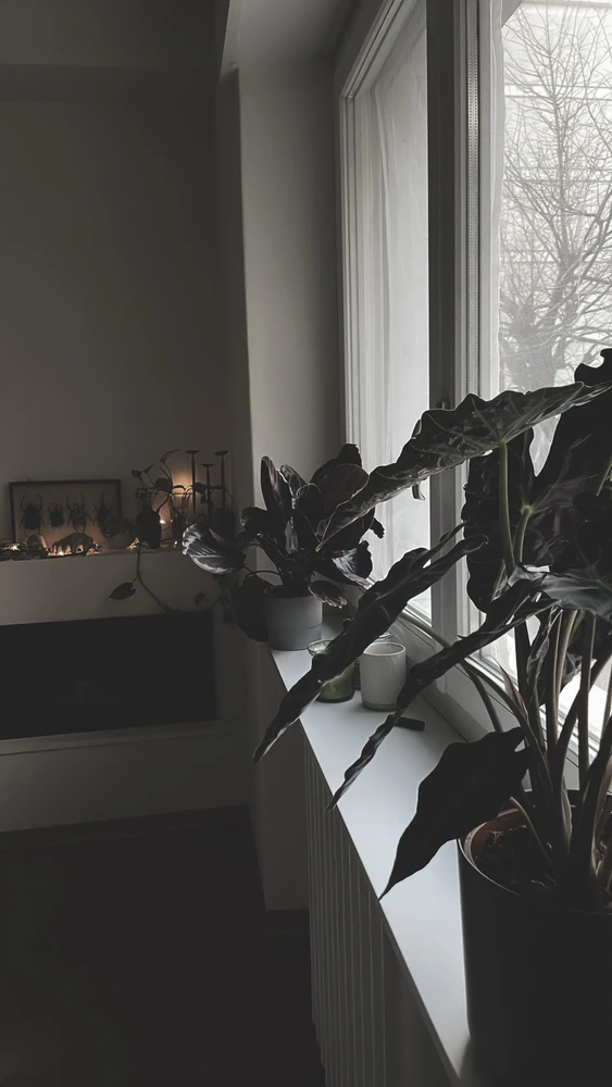 GIF caricata da Carol