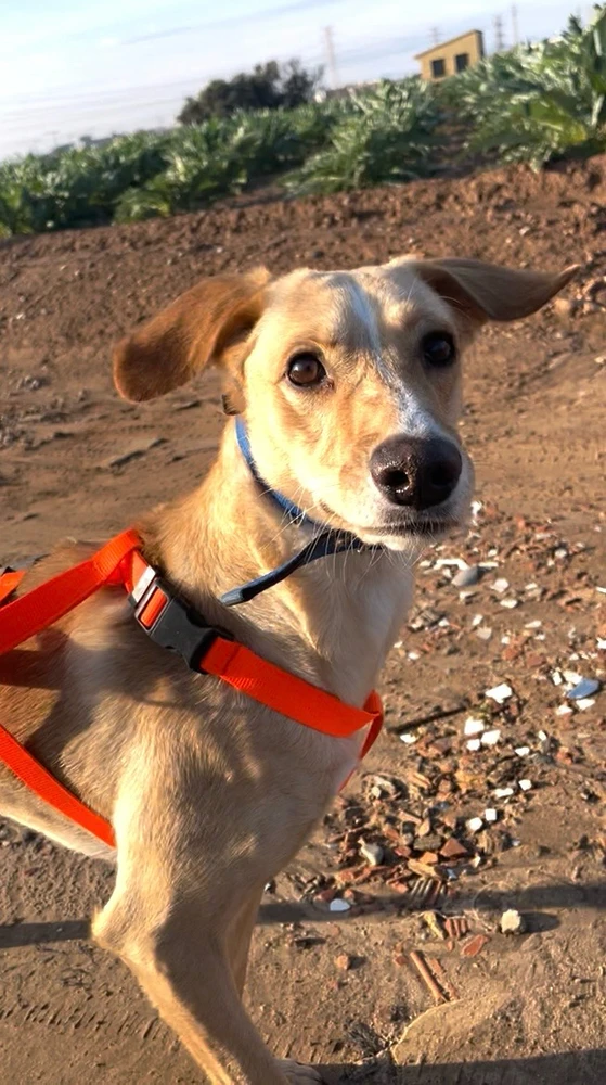 Imagen subida por Giada