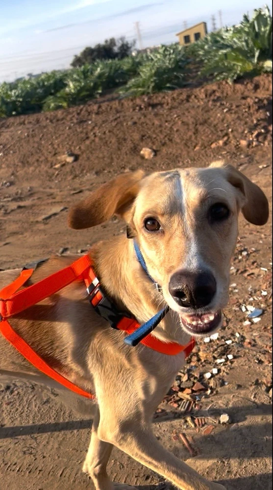 Imagen subida por Giada