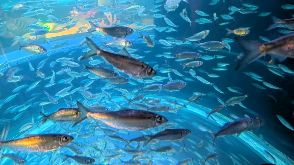 Image uploaded by ลฤ
fet