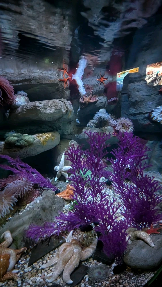 Image uploaded by ลฤ
fet