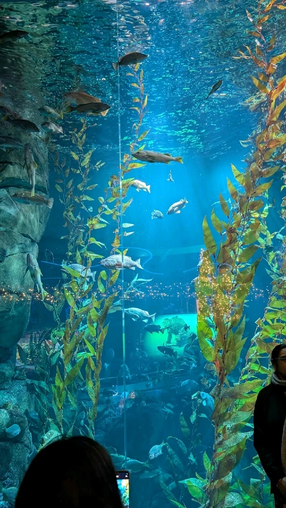 Image uploaded by ลฤ
fet