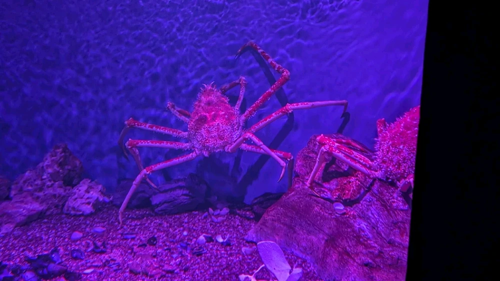 Image uploaded by ลฤ
fet