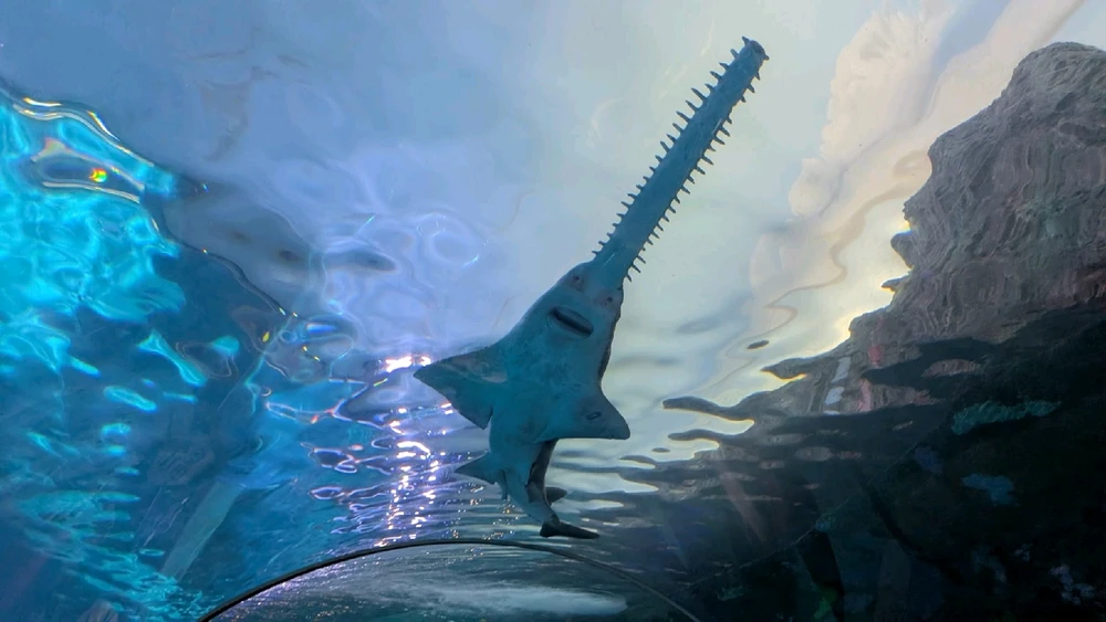 Image uploaded by ลฤ
fet