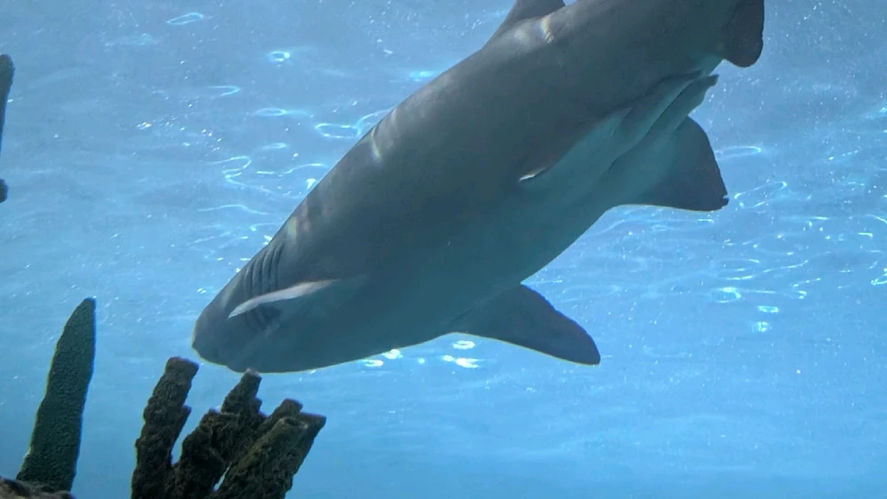 Image uploaded by ลฤ
fet