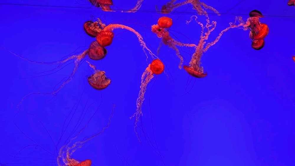 Image uploaded by ลฤ
fet