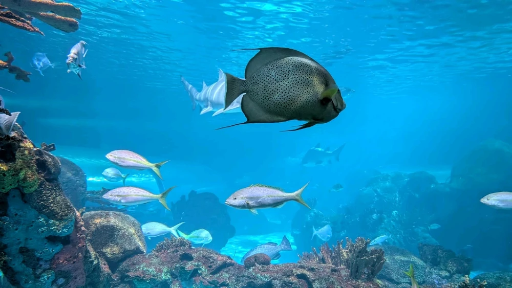 Image uploaded by ลฤ
fet