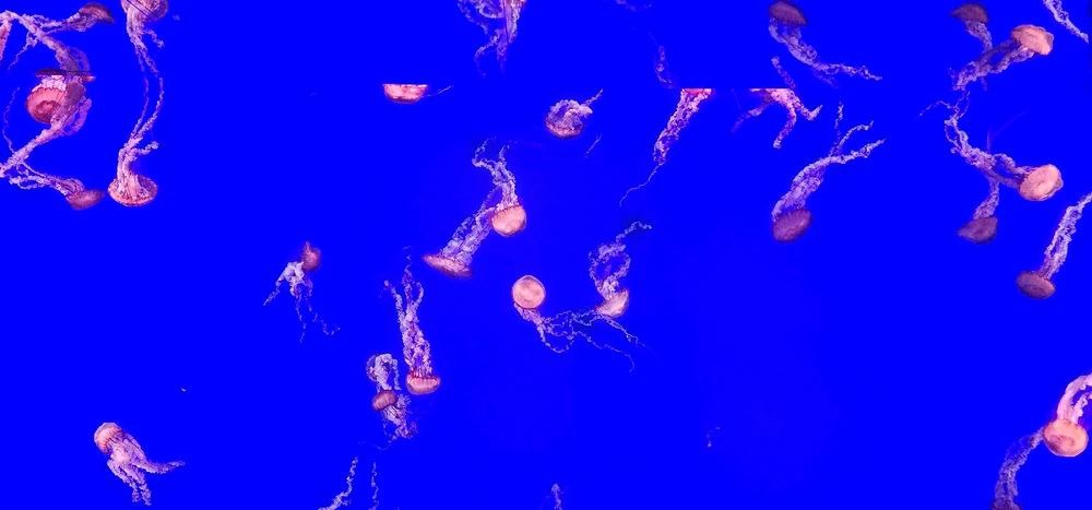 Image uploaded by ลฤ
fet