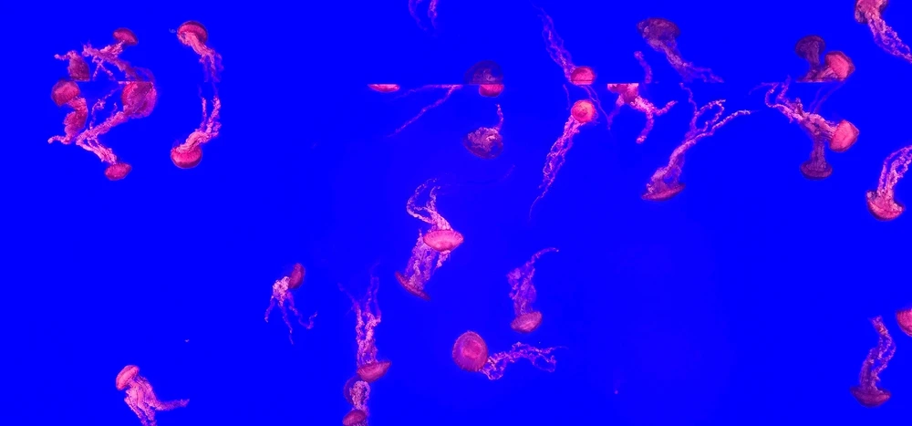 Image uploaded by ลฤ
fet