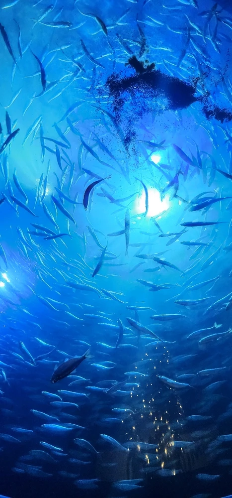 Image uploaded by ลฤ
fet