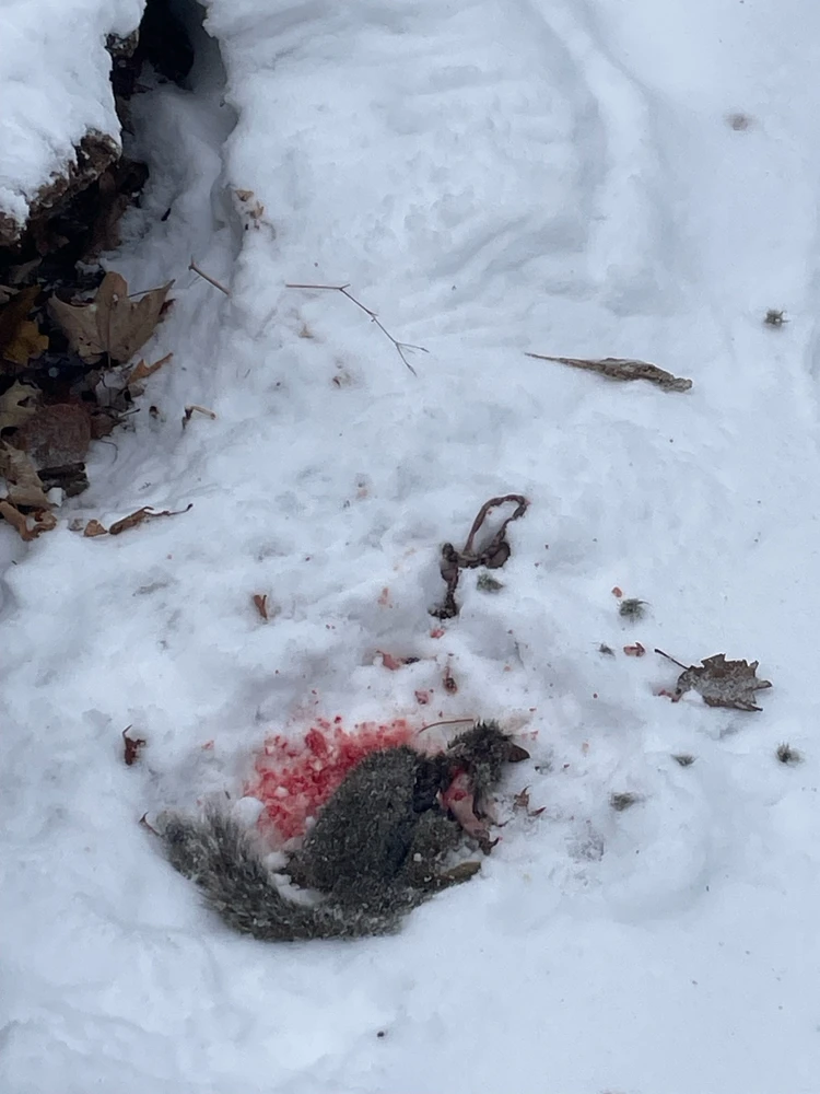 Image uploaded by Robbie