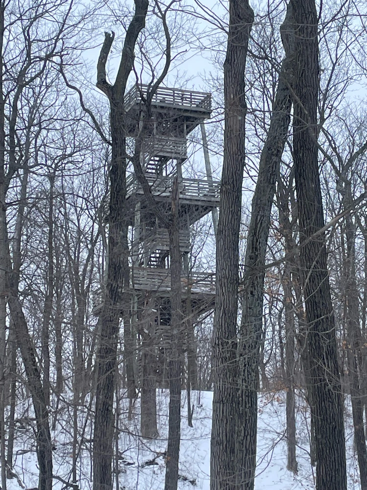 Image uploaded by Robbie