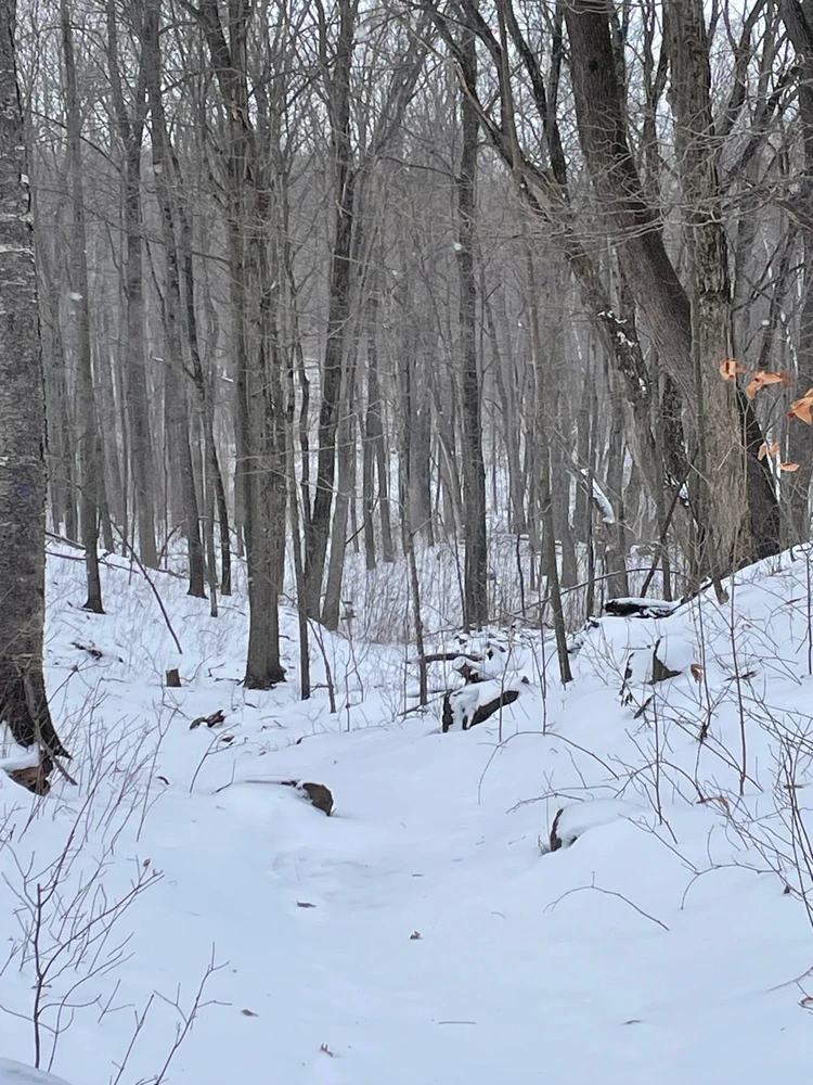 Image uploaded by Robbie