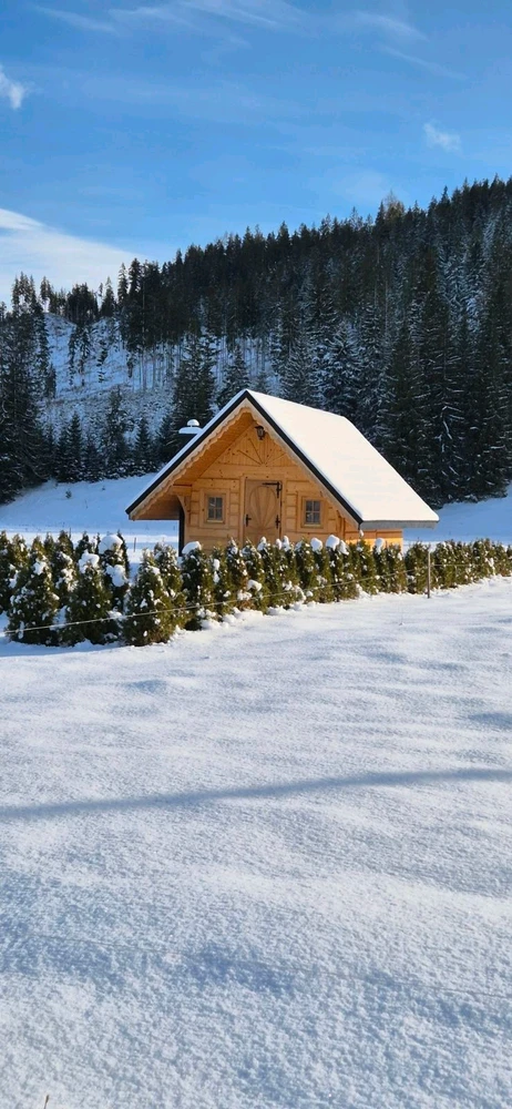 Zdjęcie dodane przez Daria
