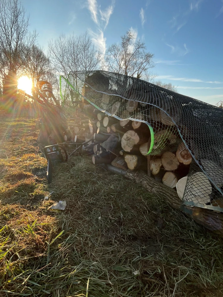 Immagine caricata da Alessias