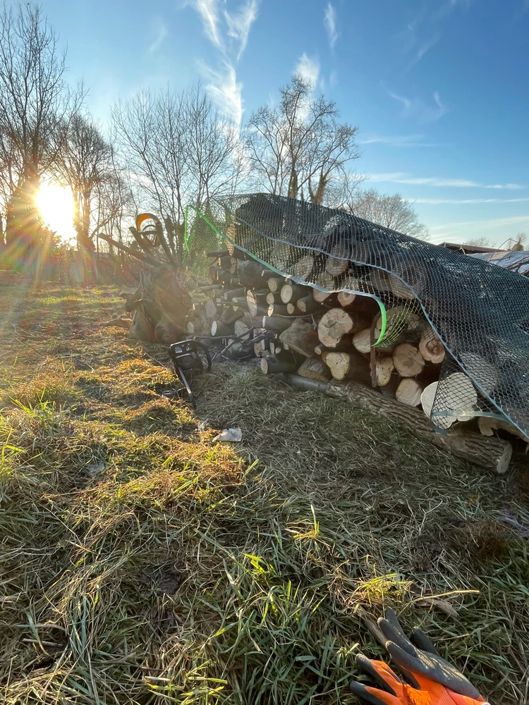 Immagine caricata da Alessias