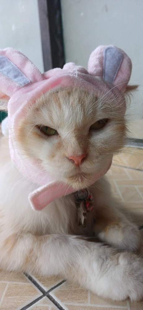 GIF uploaded by Tiara