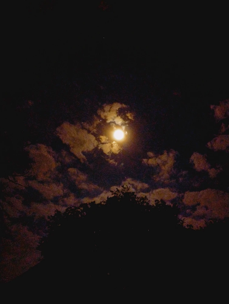 Imagem enviada por Alice