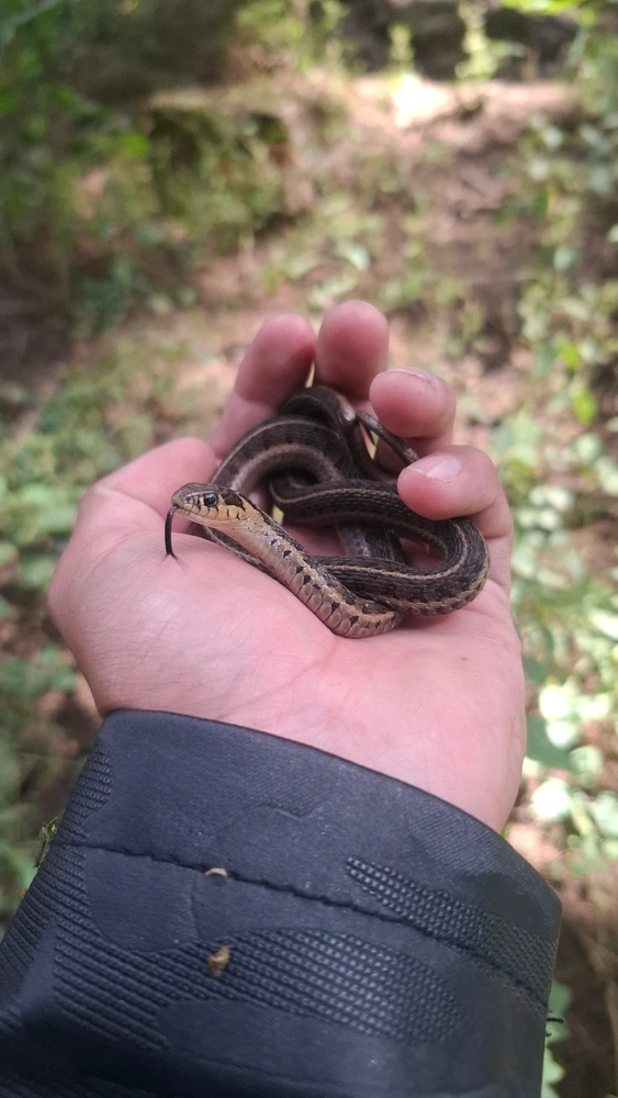 GIF subido por David