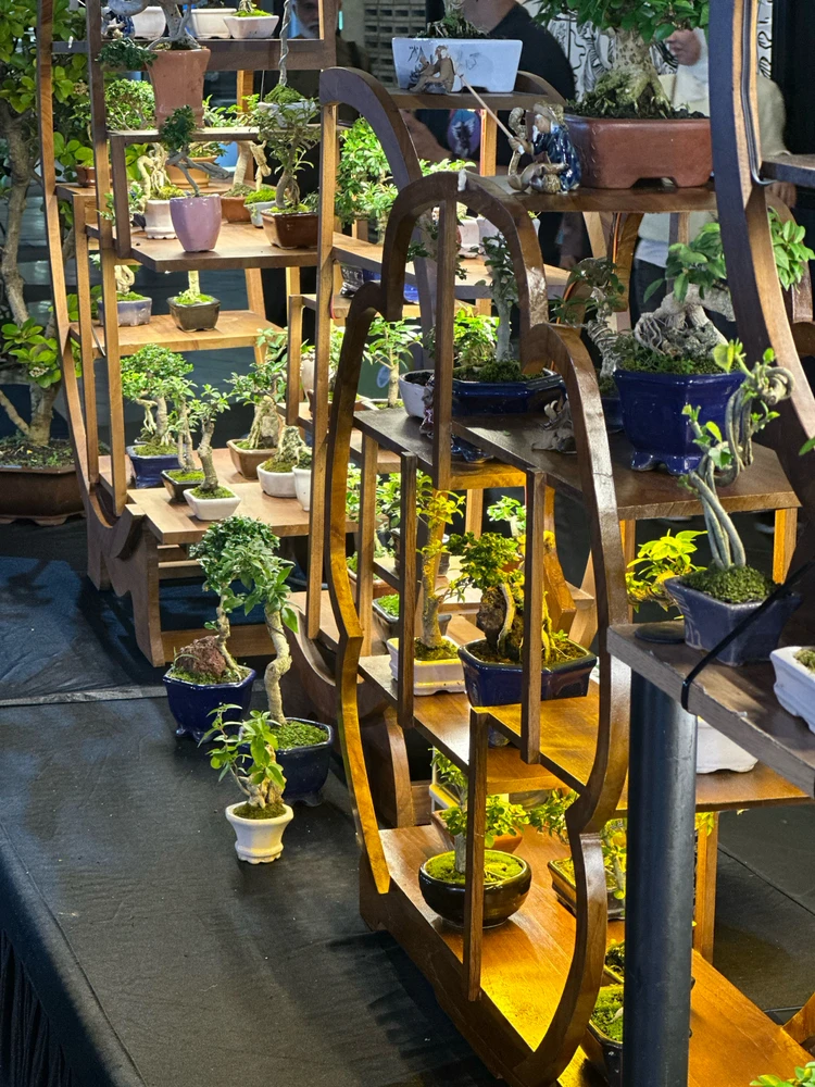 Gambar diunggah dening Dyah N