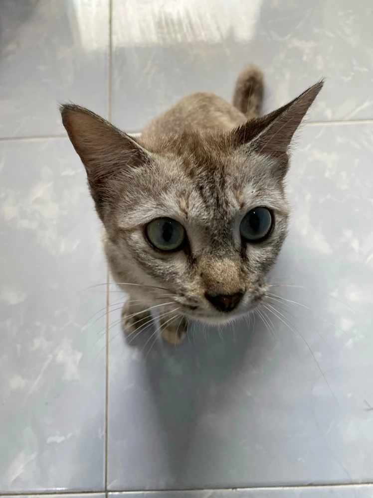 GIF diunggah oleh Tata