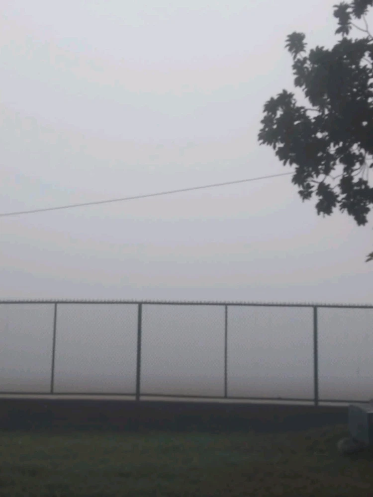 GIF uploaded by Vaibhav Sharma