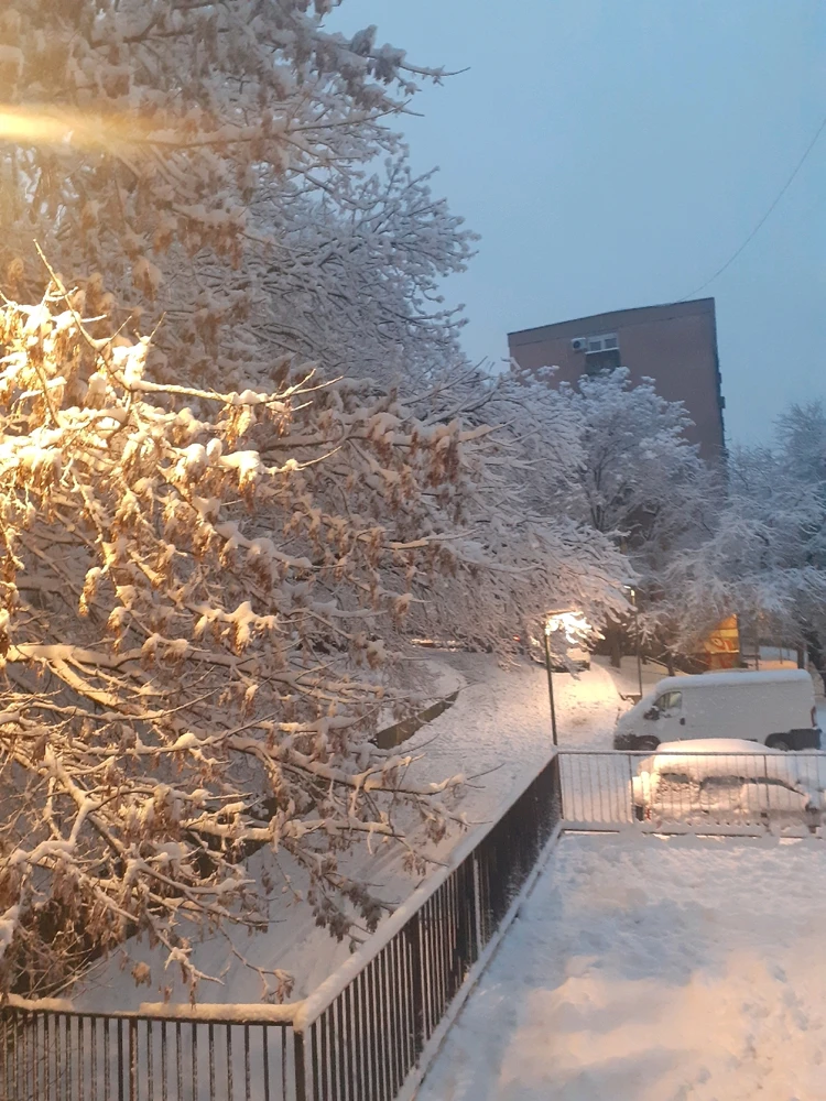 Image uploaded by Vladimir