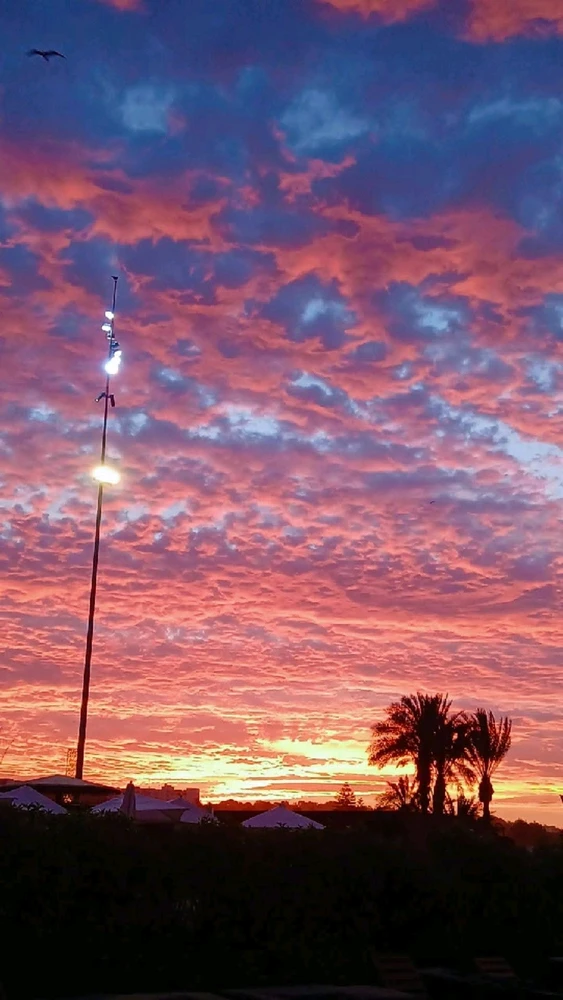 GIF uploaded by Loula