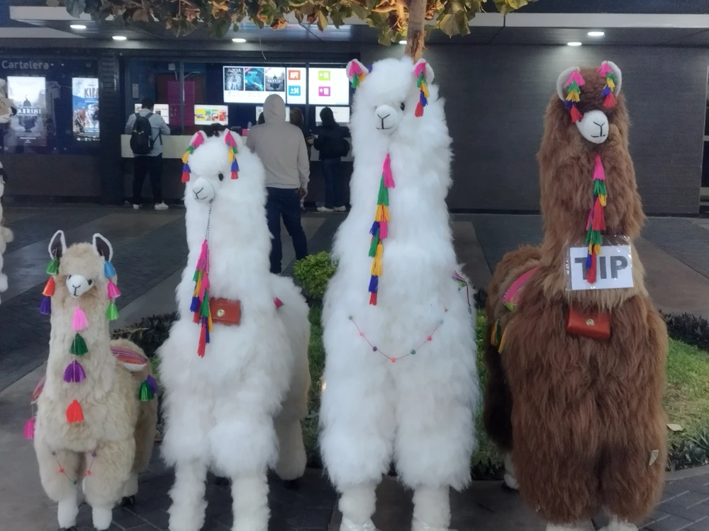 GIF uploaded by Kevin