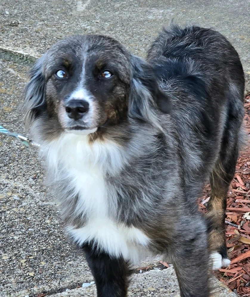 GIF uploaded by Anastasia Block'ioski