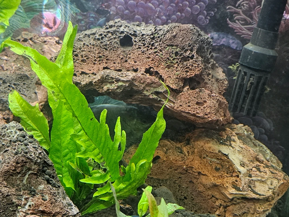 Image uploaded by Sean