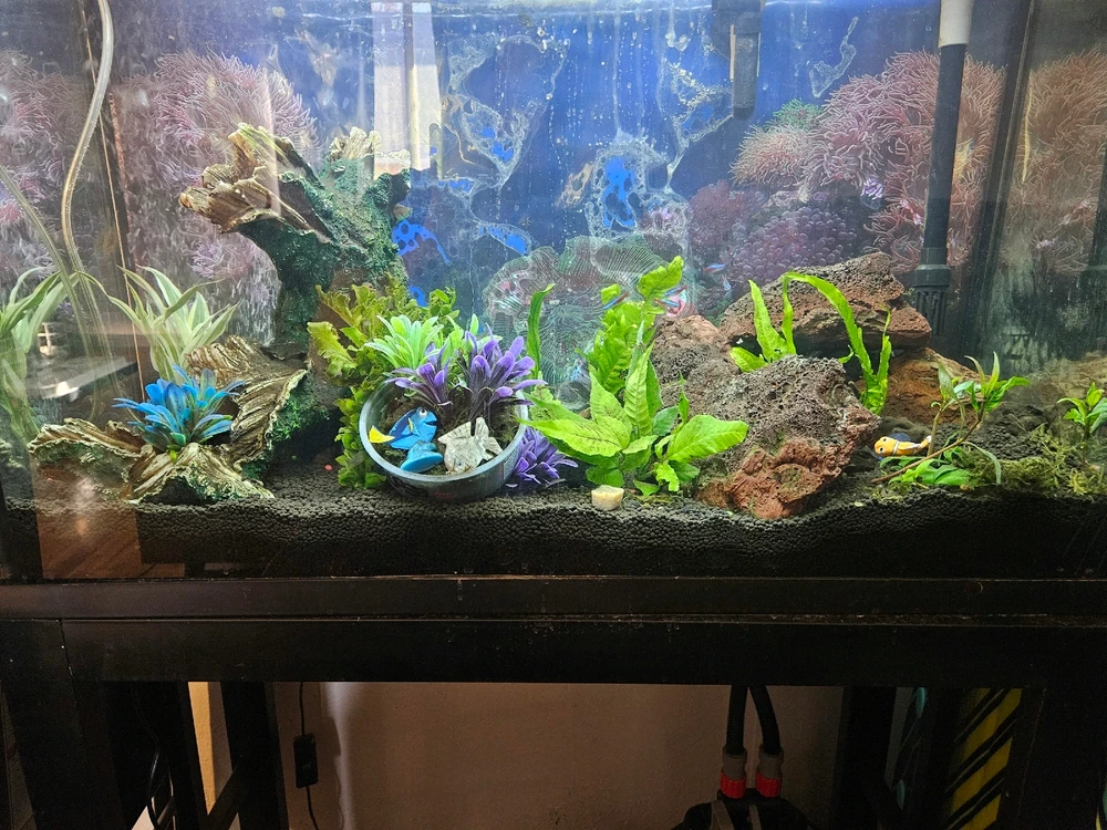 Image uploaded by Sean