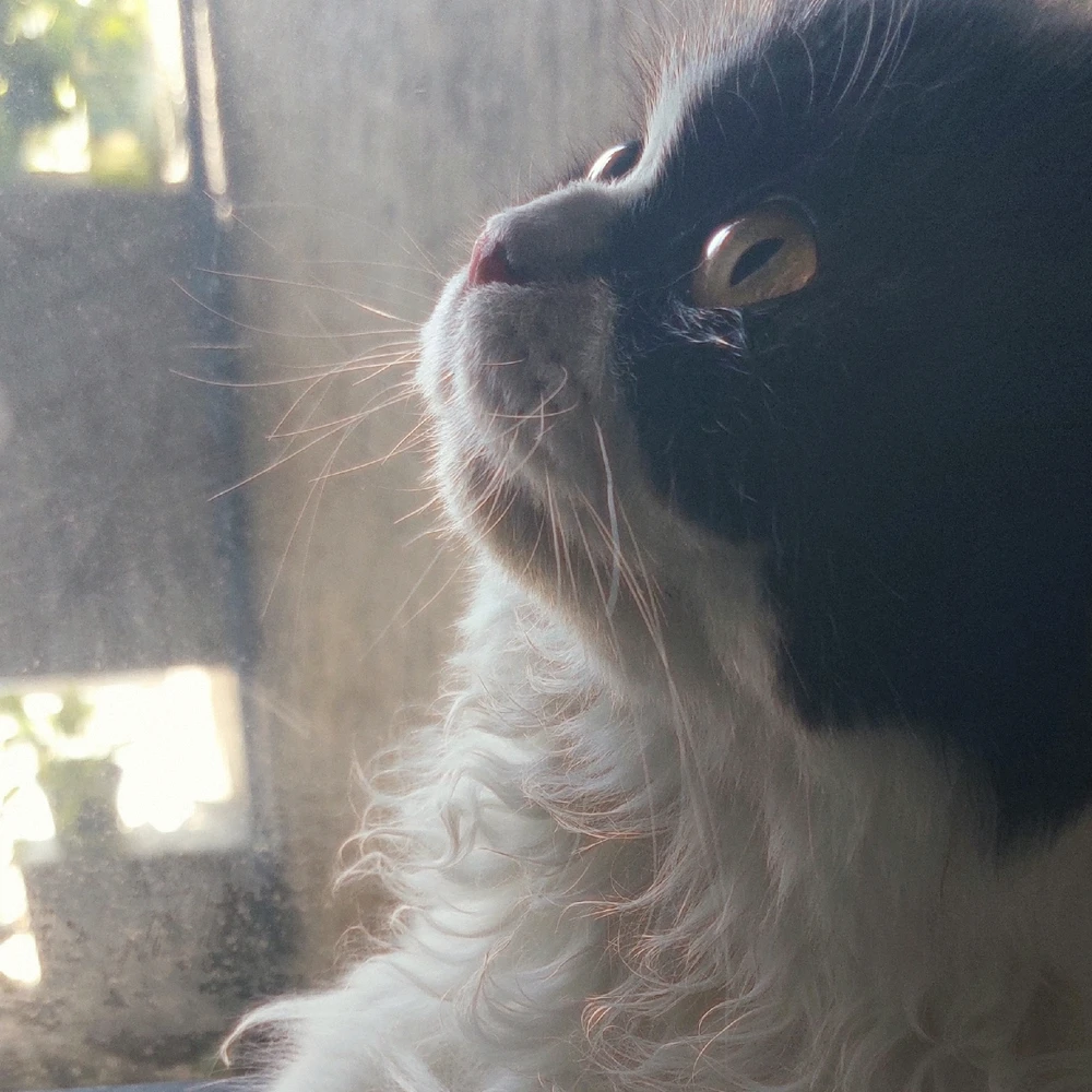 GIF uploaded by Gina