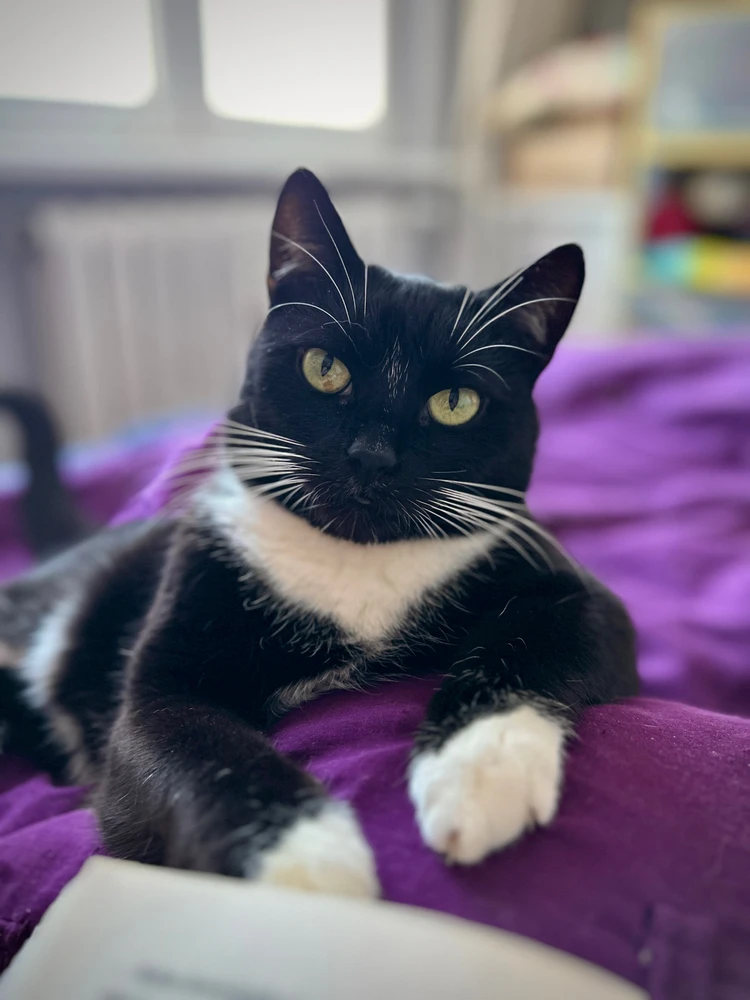 Zdjęcie dodane przez agni