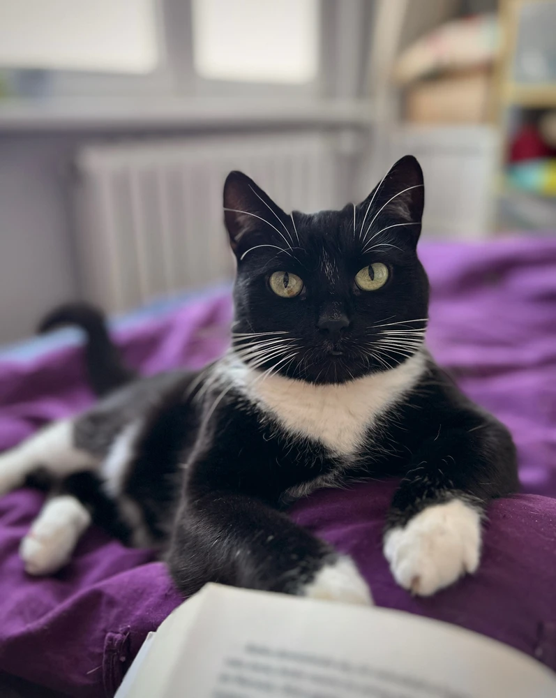 Zdjęcie dodane przez agni