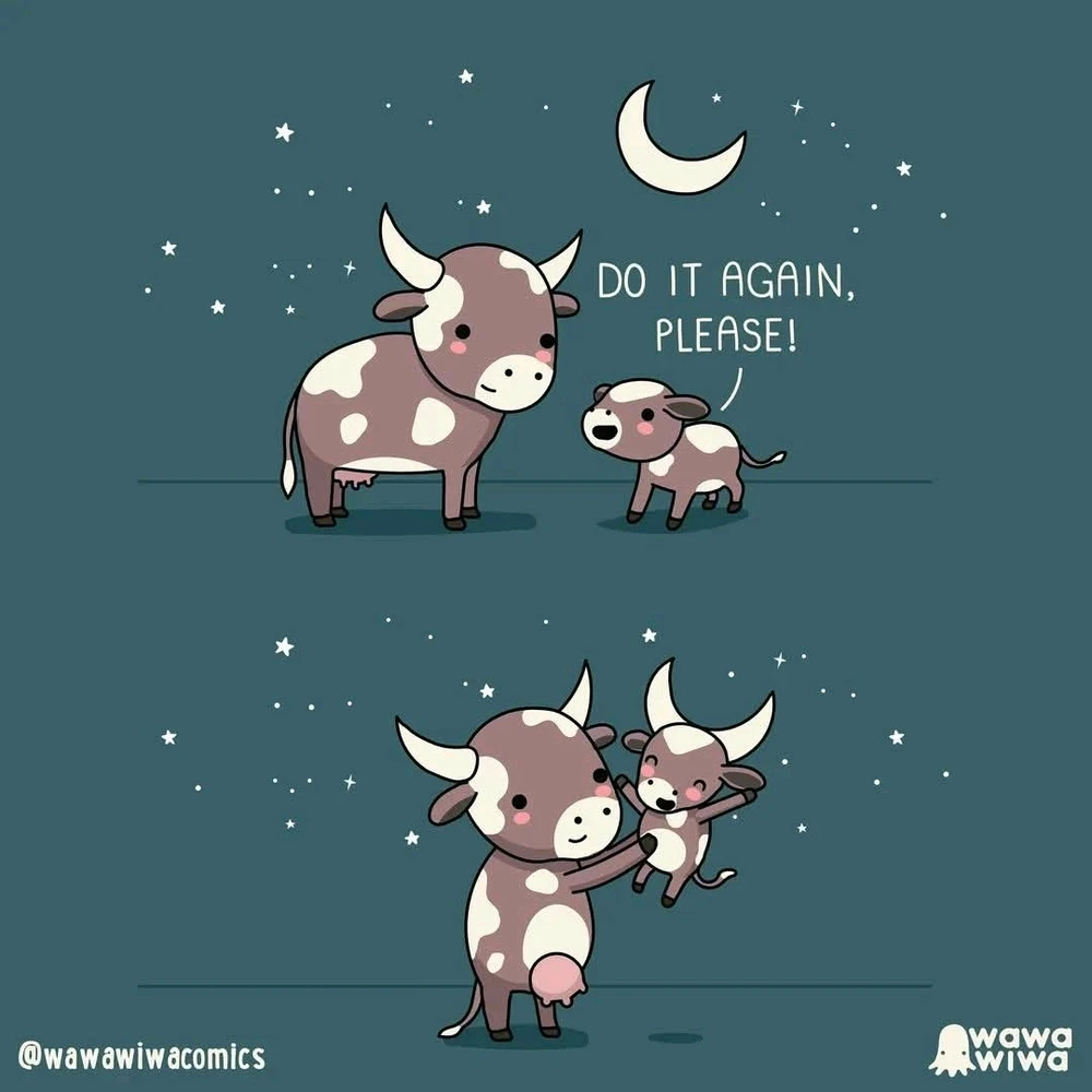 GIF ajouté par Mickaël