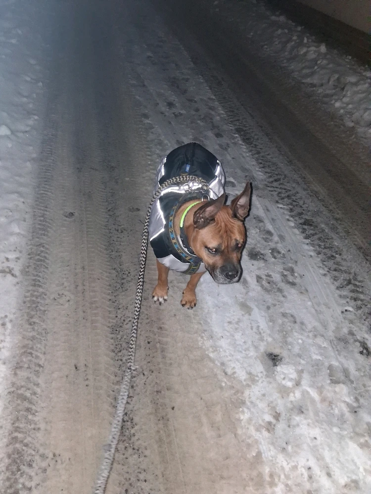 Obrázek nahrál Miko